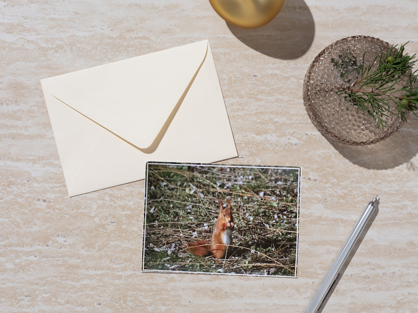 Carte Postale - Écureuil roux