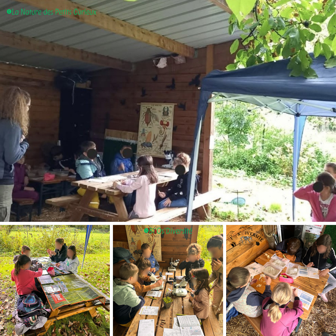 Atelier "Paléo"