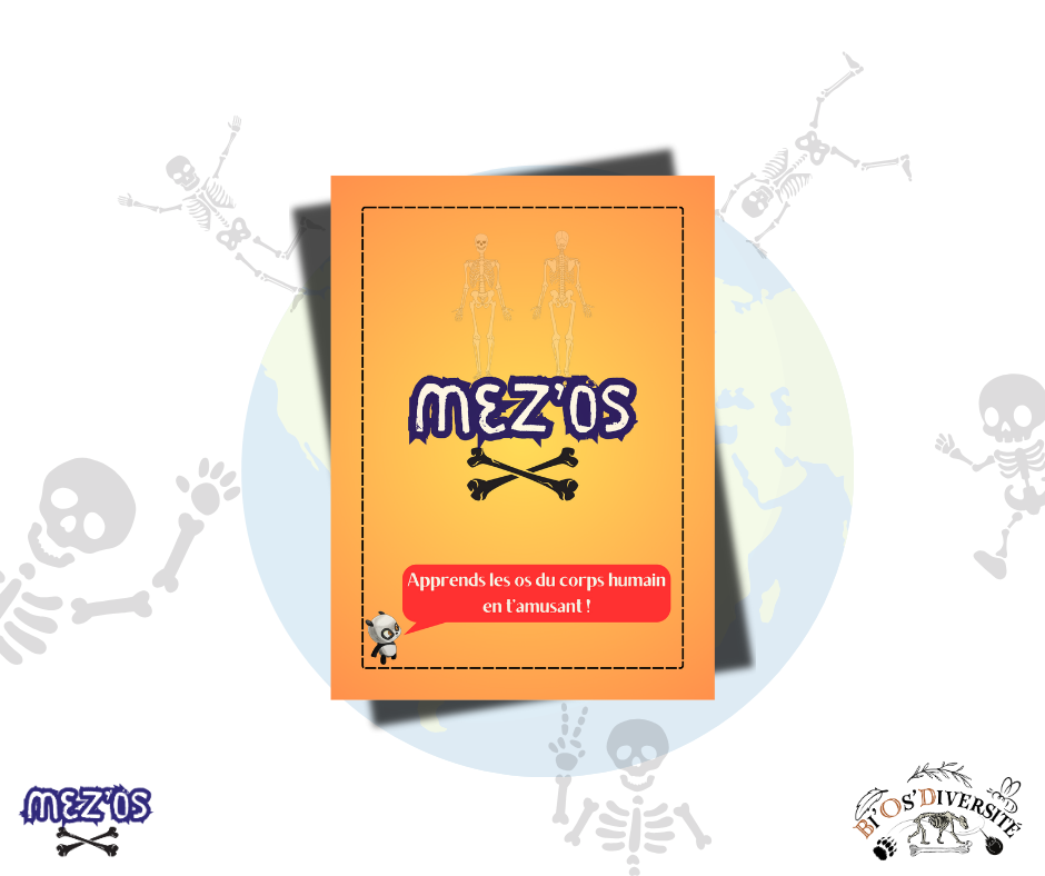Jeu de cartes Mez'Os - squelette humain