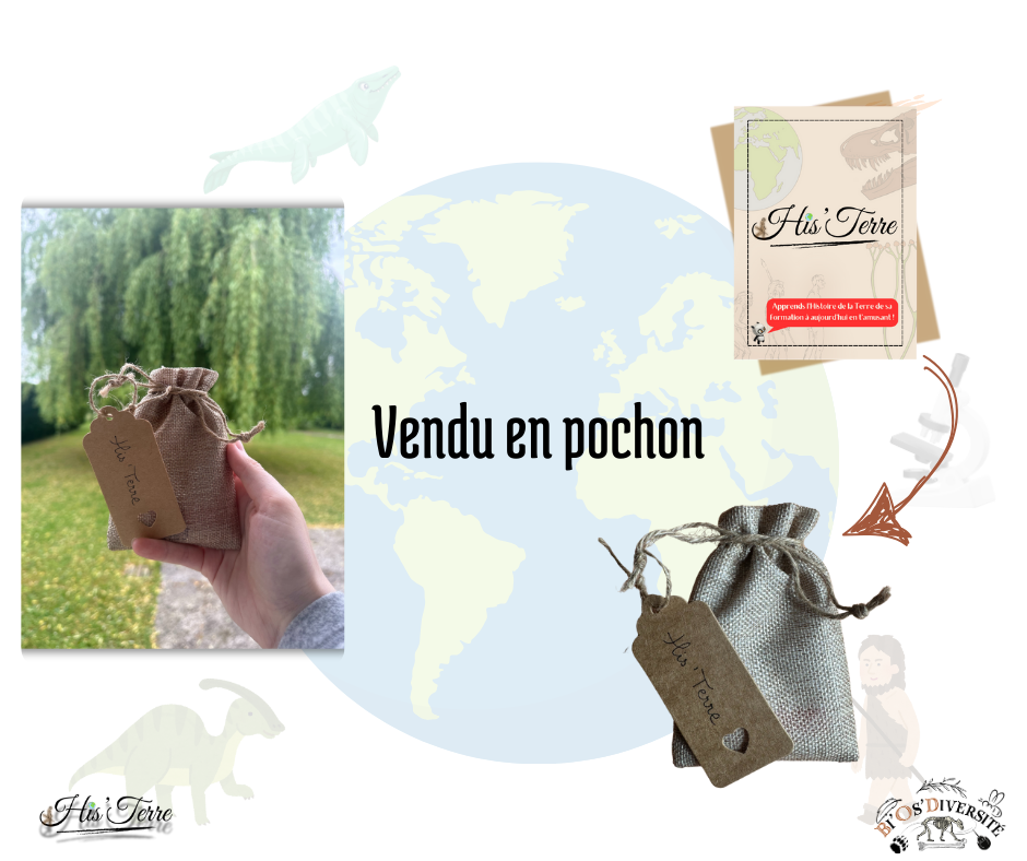 Jeu de cartes His’Terre – Histoire de la Terre