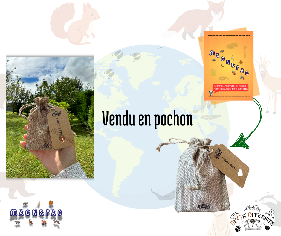 Jeu de cartes Magnepac - animaux sauvages de nos campagnes