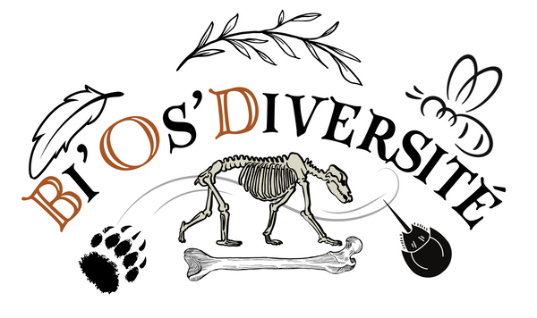 Bi'Os'Diversité