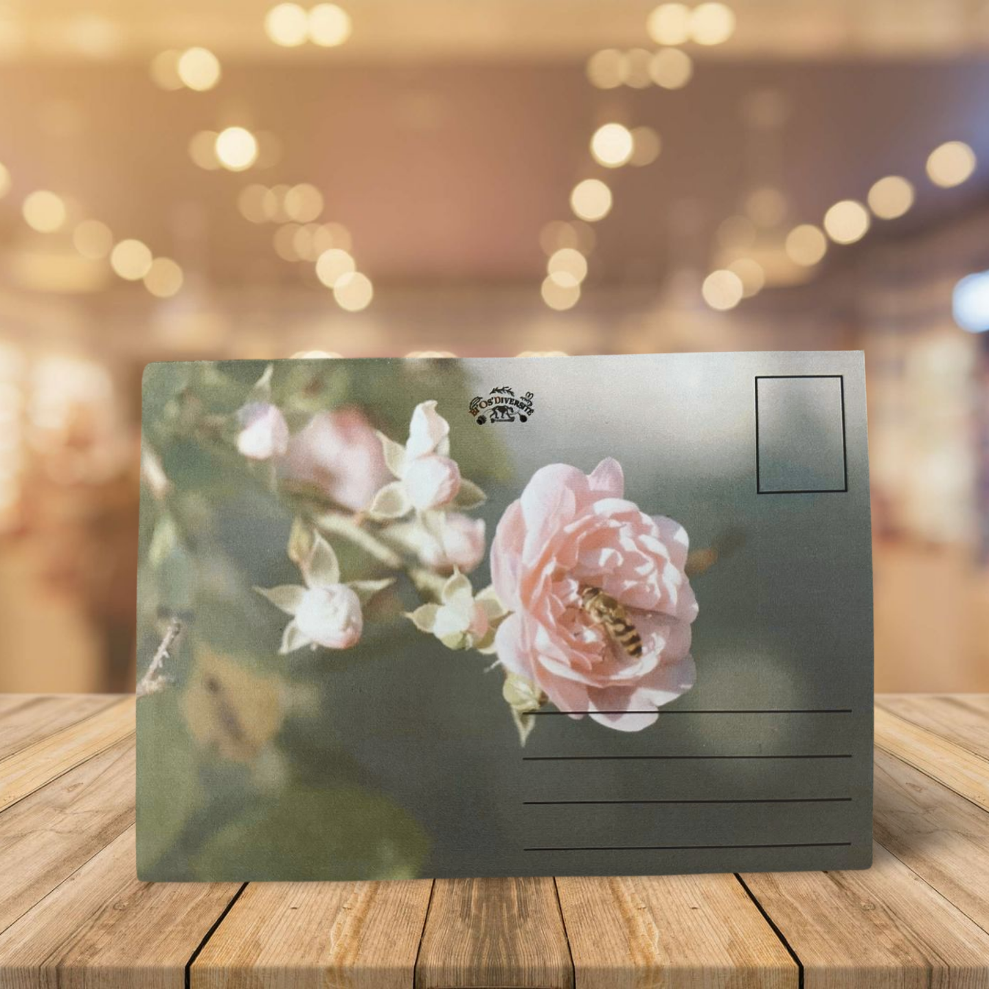Carte Postale - Fleur & Insecte
