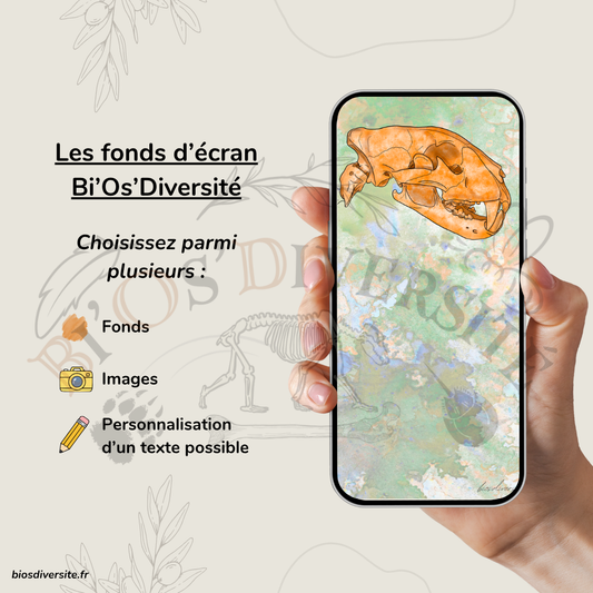 Nouveau - Les fonds d'écran Bi'Os'Diversité