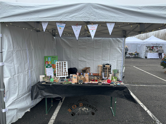Marché de Noël - Marolles-sur-Seine (77) - 01 Décembre 2024