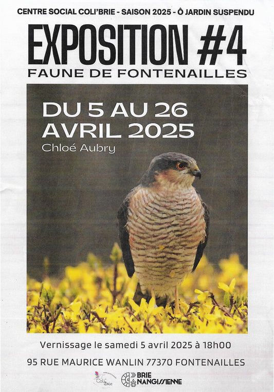 Vernissage de mon Exposition de photographies animalières sauvages - 05 Avril 2025