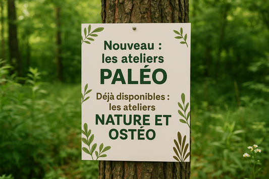 Lancement des ateliers "Paléo" - Bi'Os'Diversité