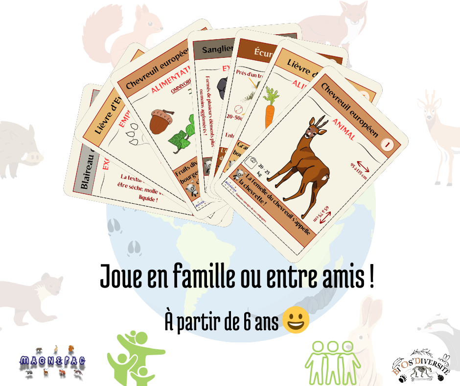 Jeux de société