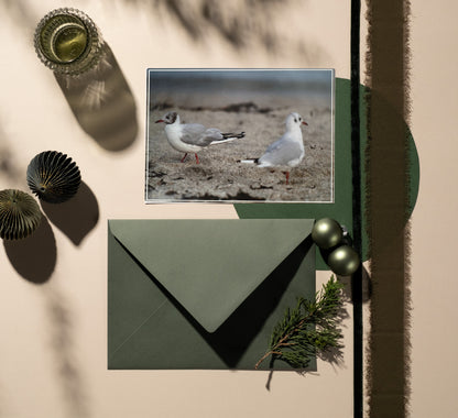 Pack - Nature + 2 cartes offertes