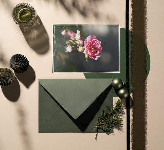 Carte Postale - Fleur & Insecte