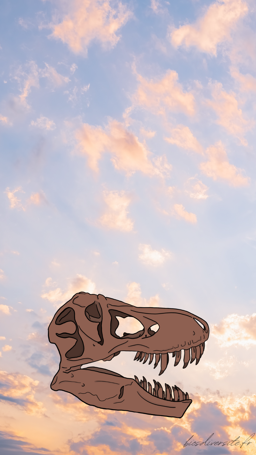 Fond d'écran Bi'Os'Diversité - téléphone