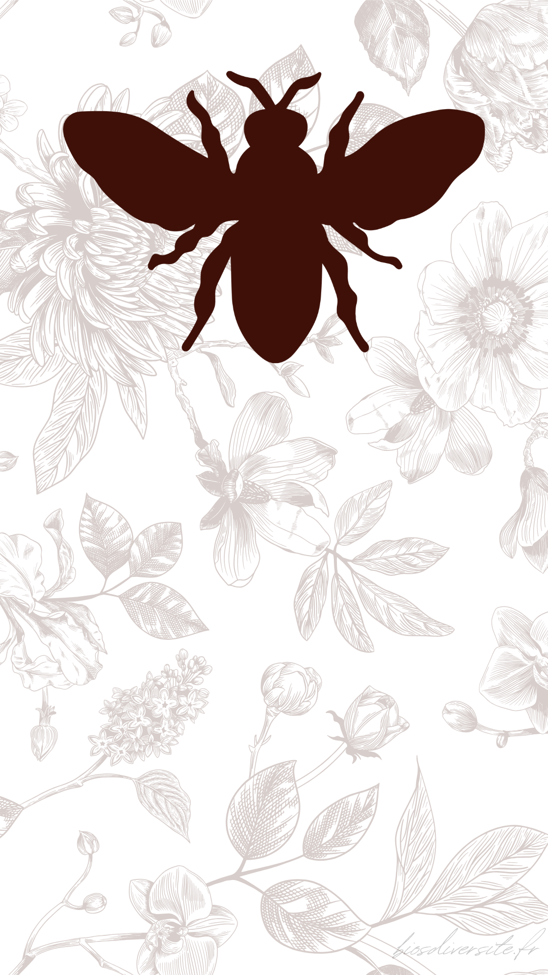 Fond d'écran Bi'Os'Diversité - téléphone