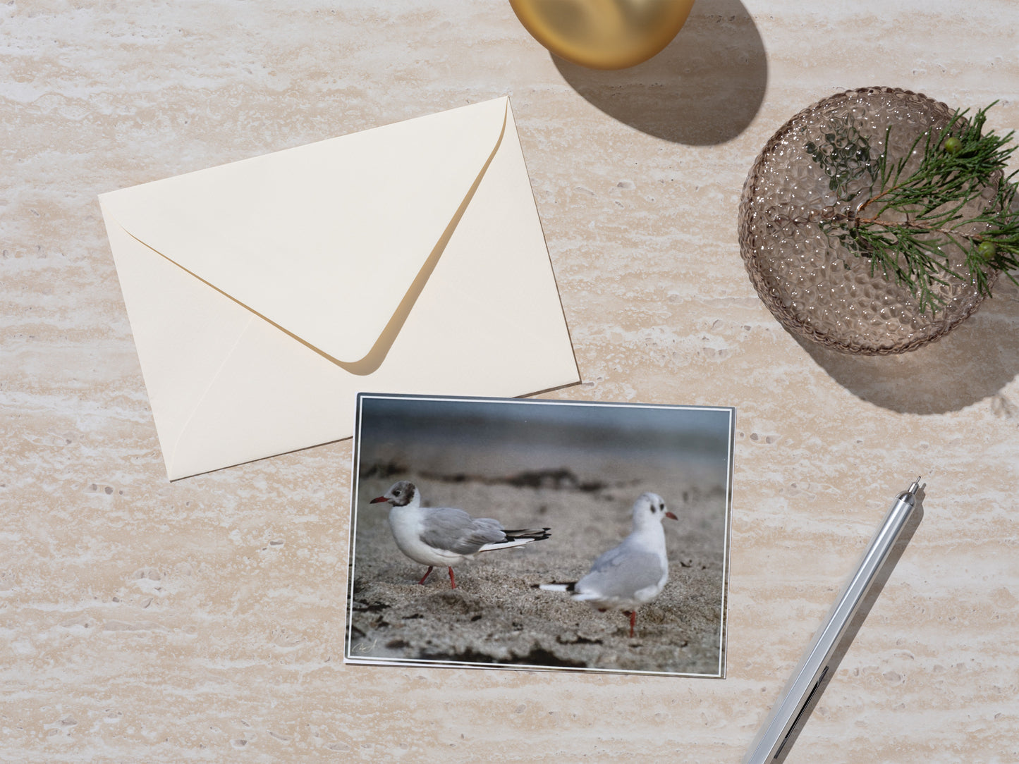 Carte Postale - Mouettes