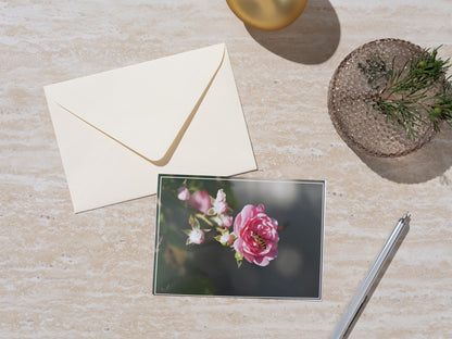 Carte Postale - Fleur & Insecte