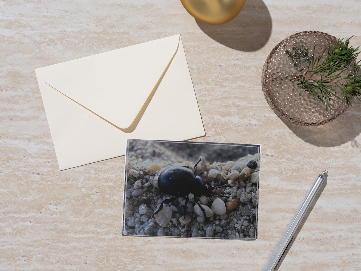 Carte Postale - Insecte