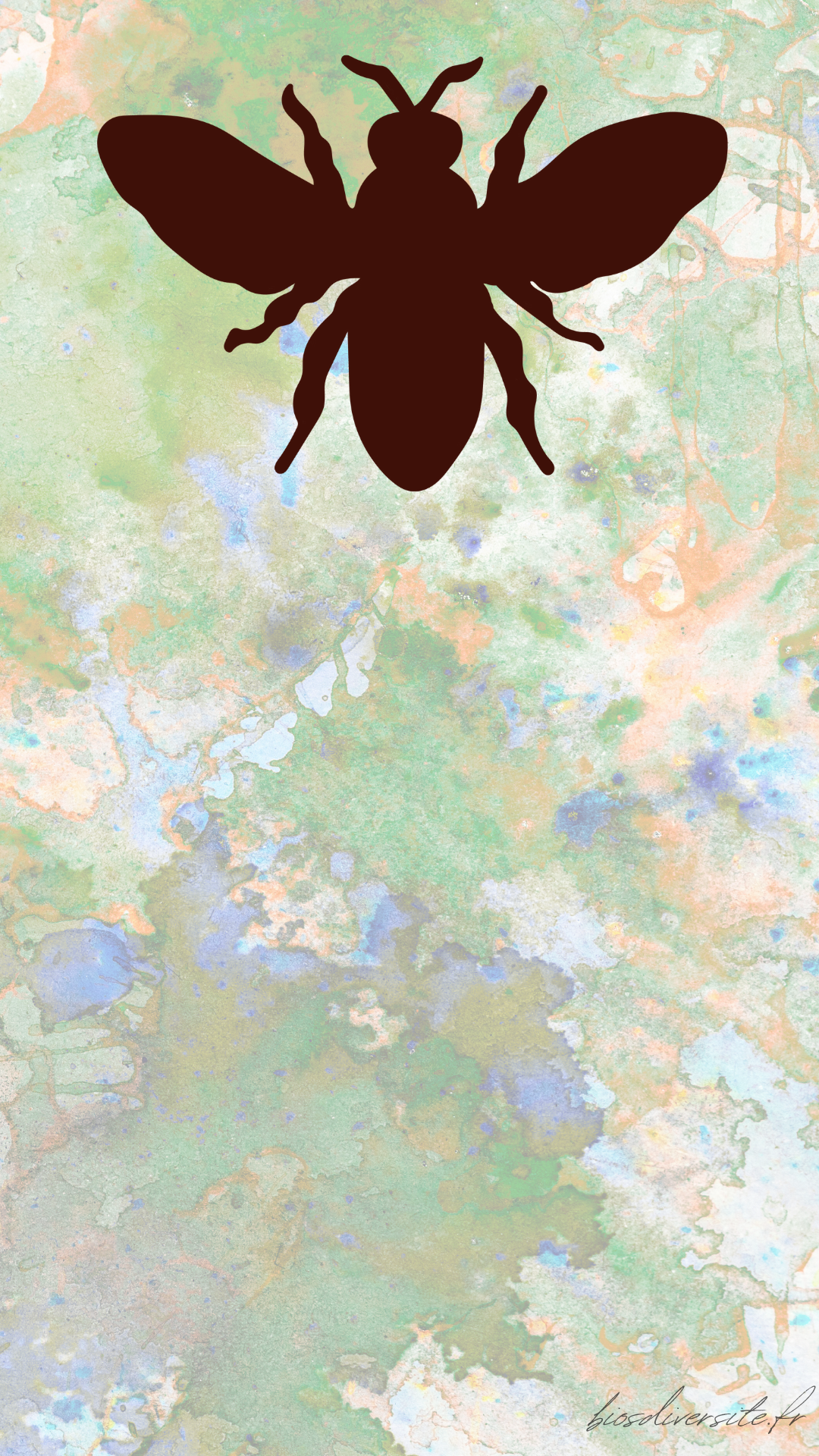 Fond d'écran Bi'Os'Diversité - téléphone