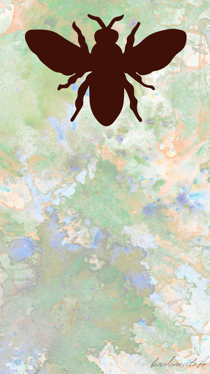 Fond d'écran Bi'Os'Diversité - téléphone