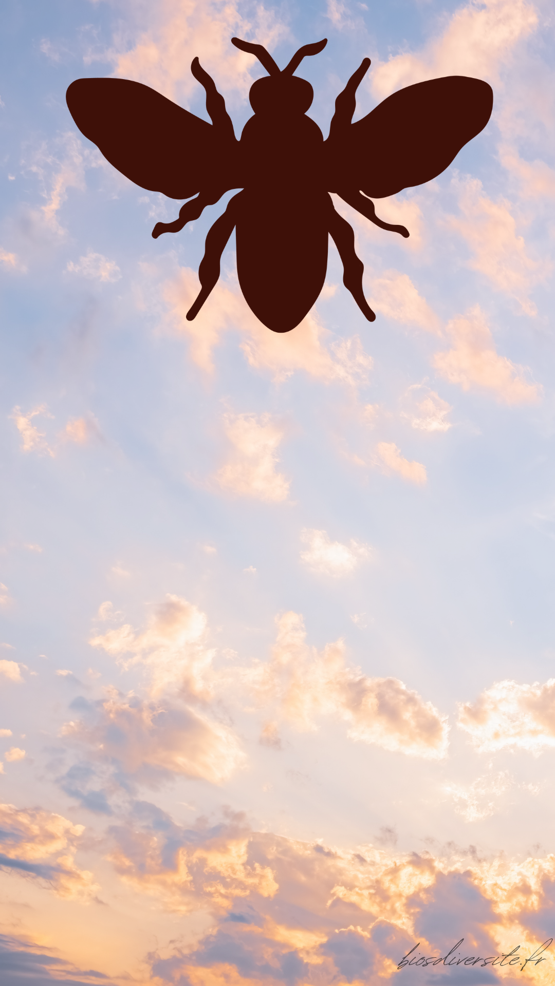 Fond d'écran Bi'Os'Diversité - téléphone