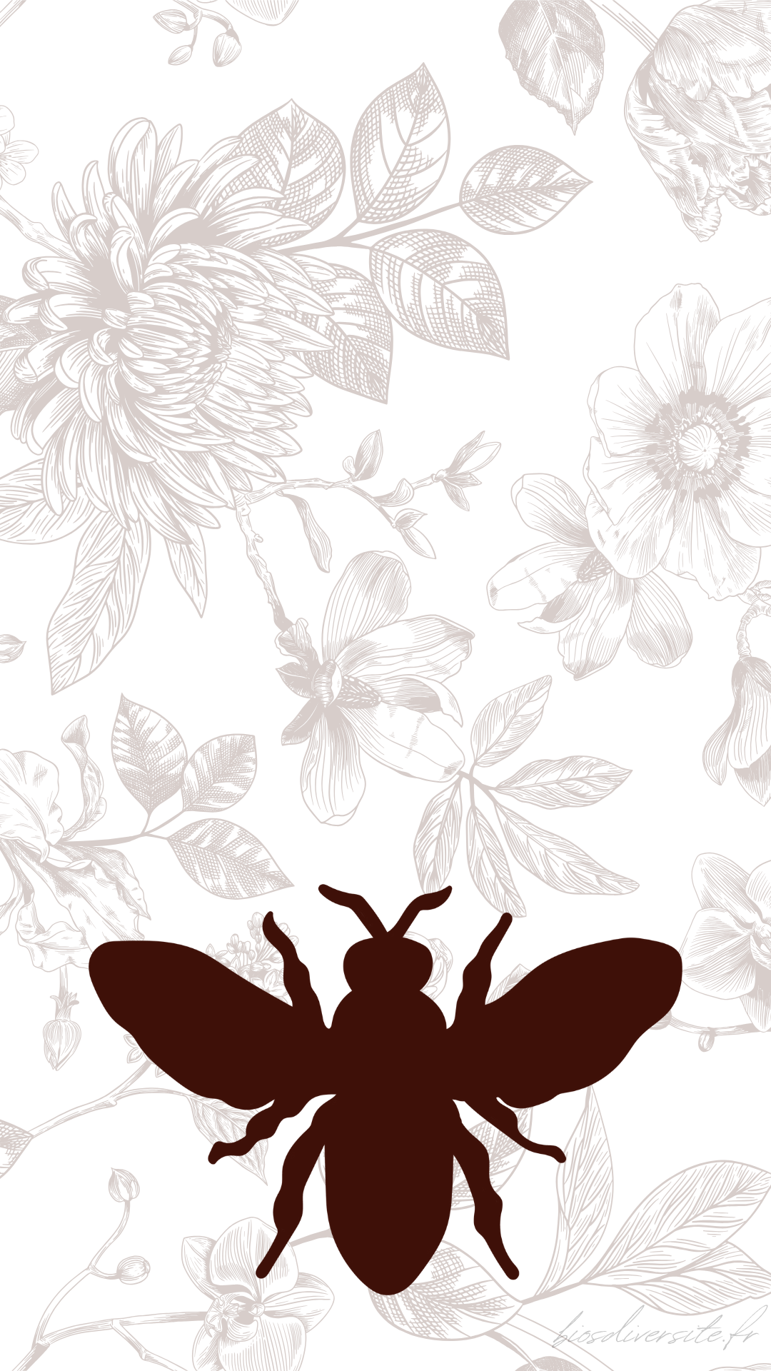 Fond d'écran Bi'Os'Diversité - téléphone