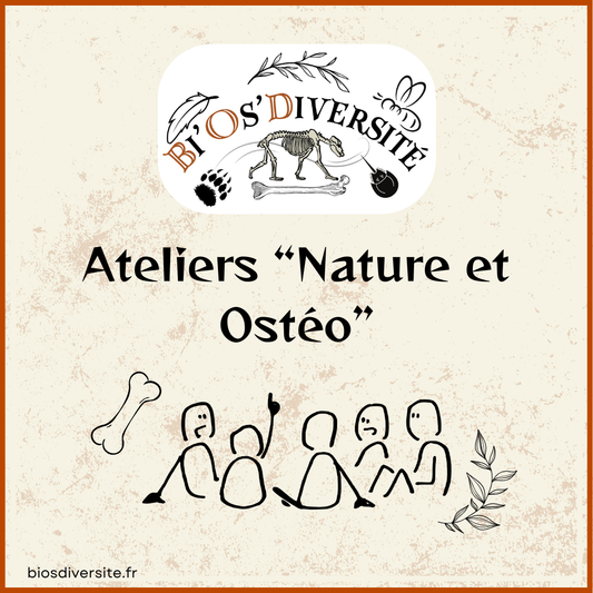 Atelier "Nature et Ostéo"