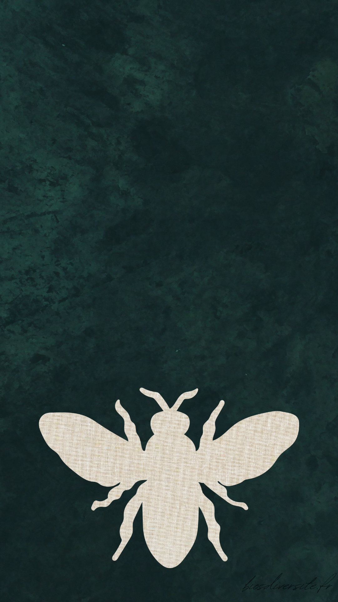 Fond d'écran Bi'Os'Diversité - téléphone