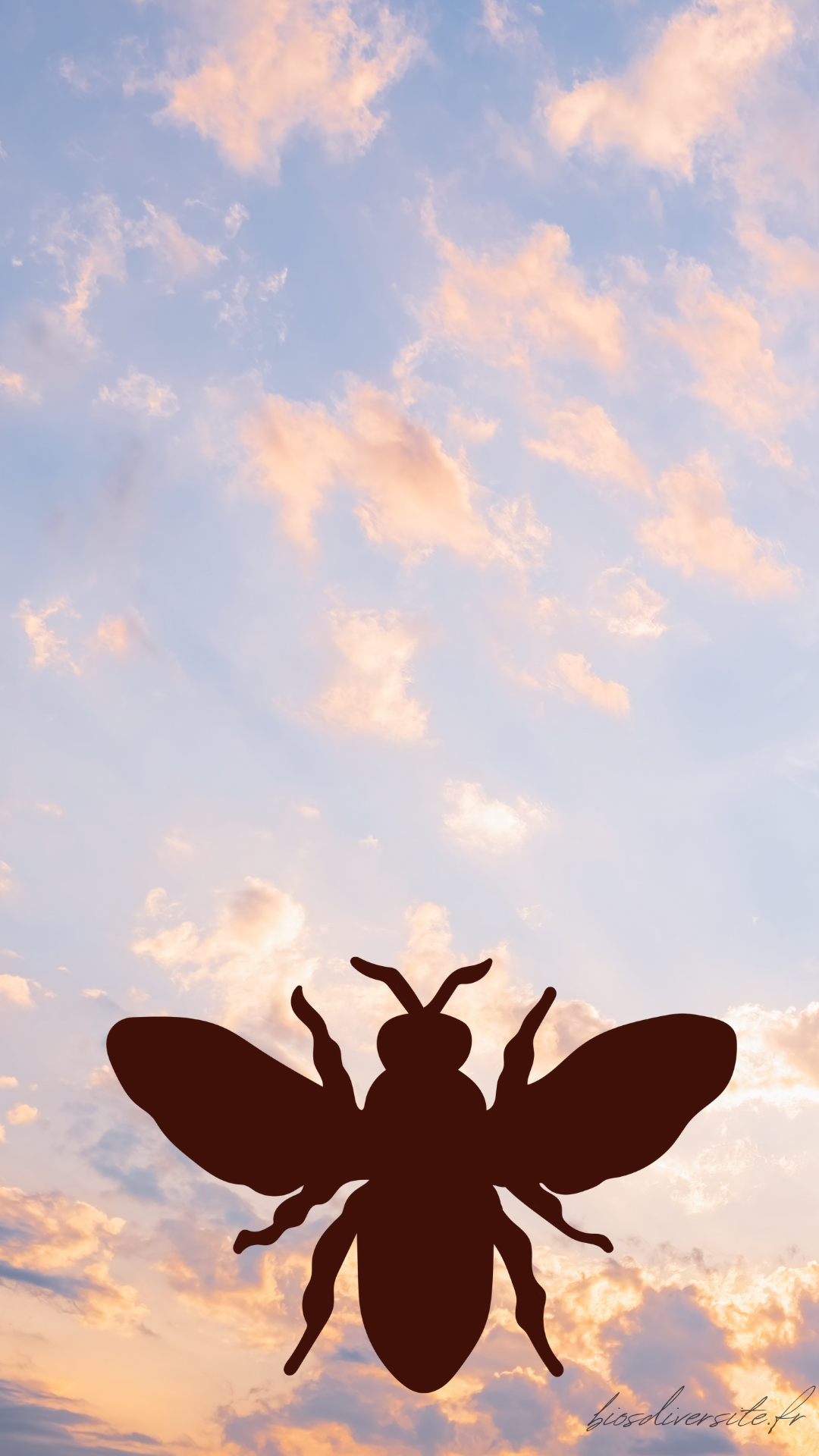 Fond d'écran Bi'Os'Diversité - téléphone