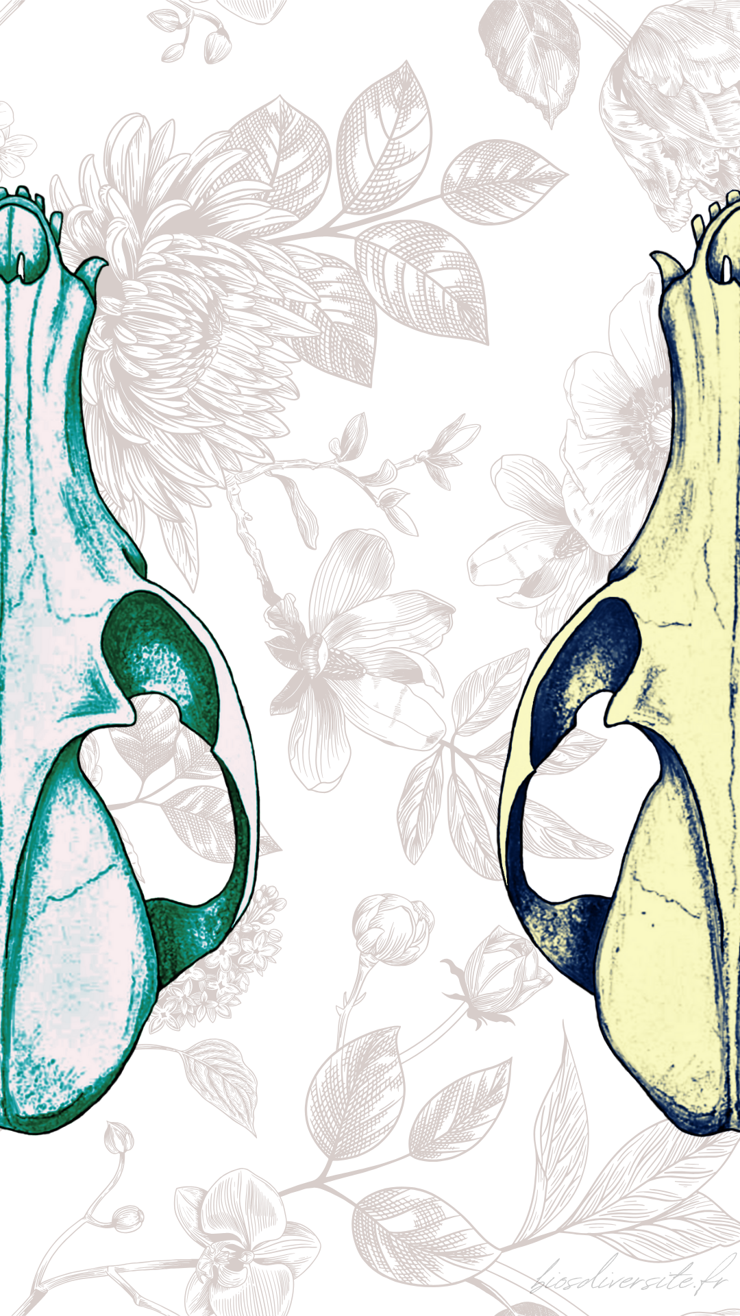 Fond d'écran Bi'Os'Diversité - téléphone