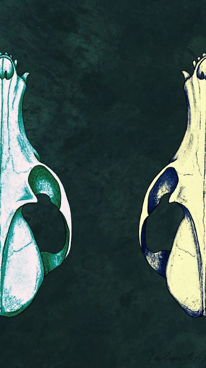 Fond d'écran Bi'Os'Diversité - téléphone