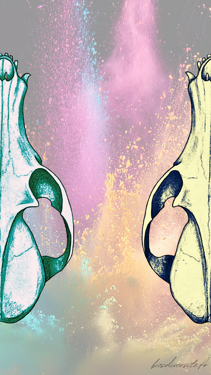 Fond d'écran Bi'Os'Diversité - téléphone