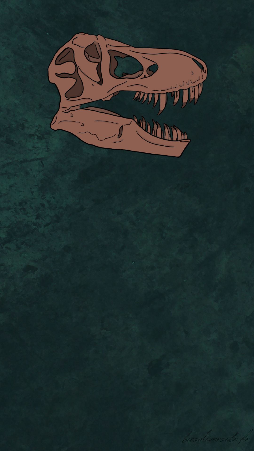 Fond d'écran Bi'Os'Diversité - téléphone