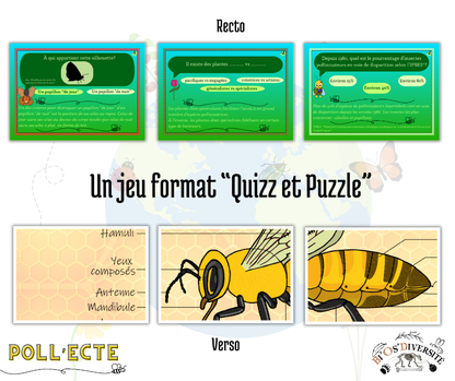 Jeu de cartes Poll’Ecte – les pollinisateurs