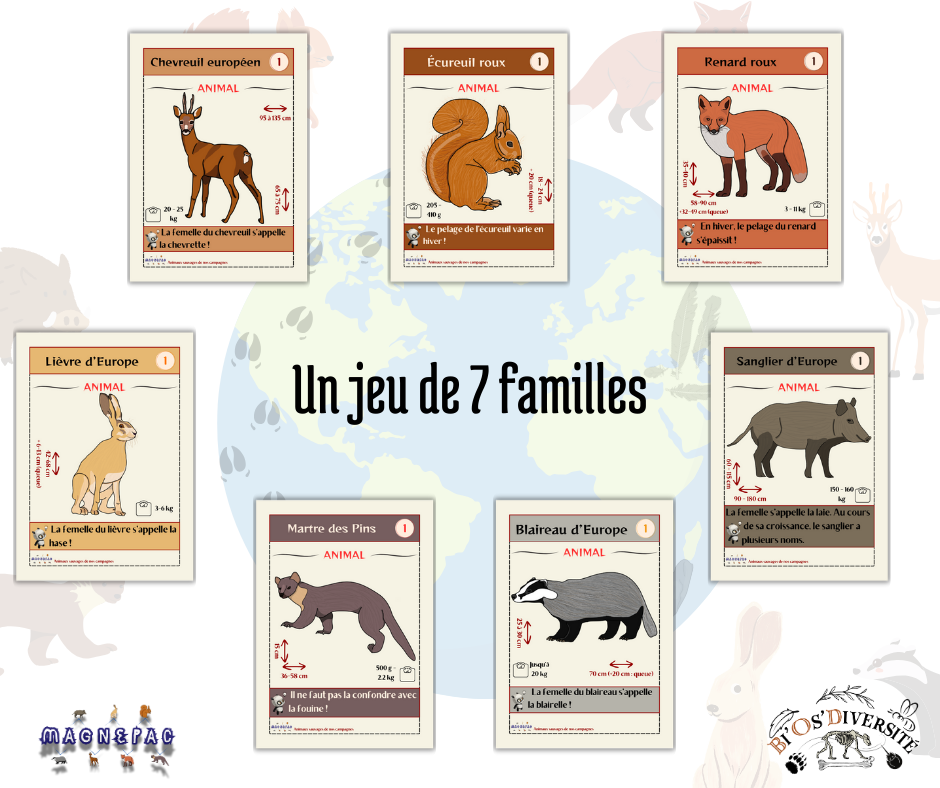 Jeu de cartes Magnepac - animaux sauvages de nos campagnes
