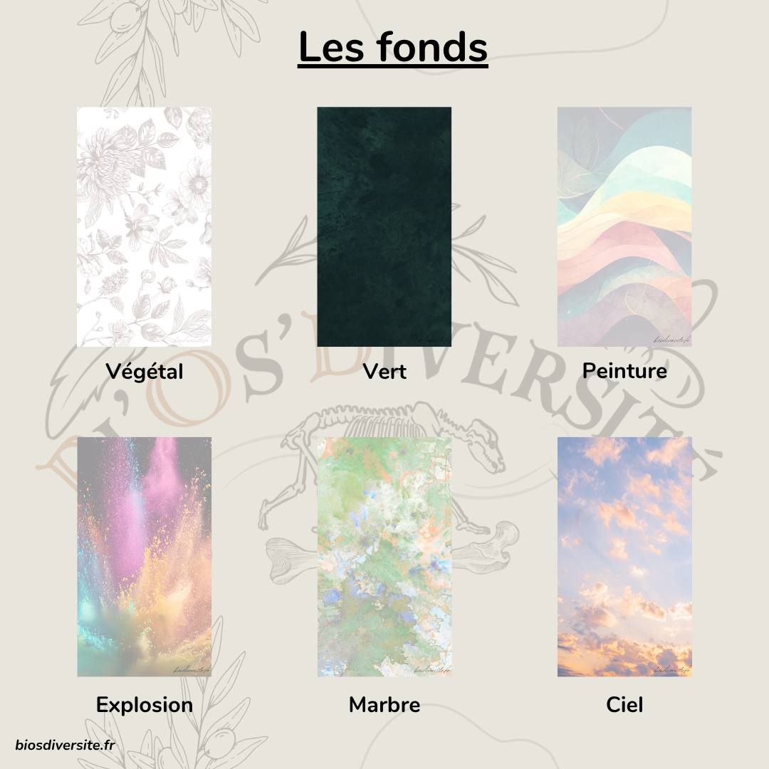 Fond d'écran Bi'Os'Diversité - téléphone