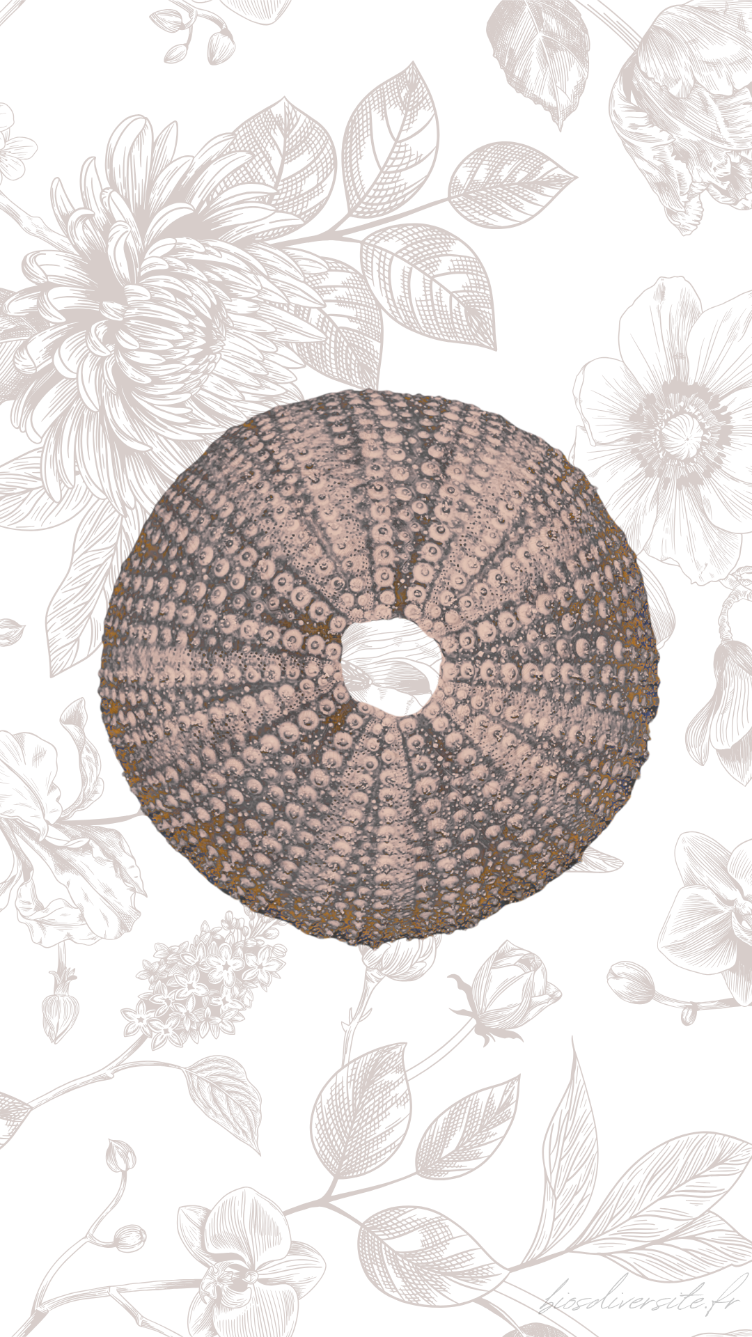 Fond d'écran Bi'Os'Diversité - téléphone