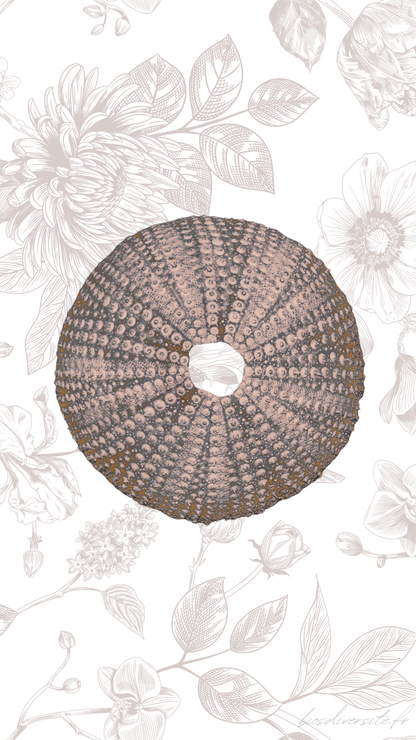 Fond d'écran Bi'Os'Diversité - téléphone