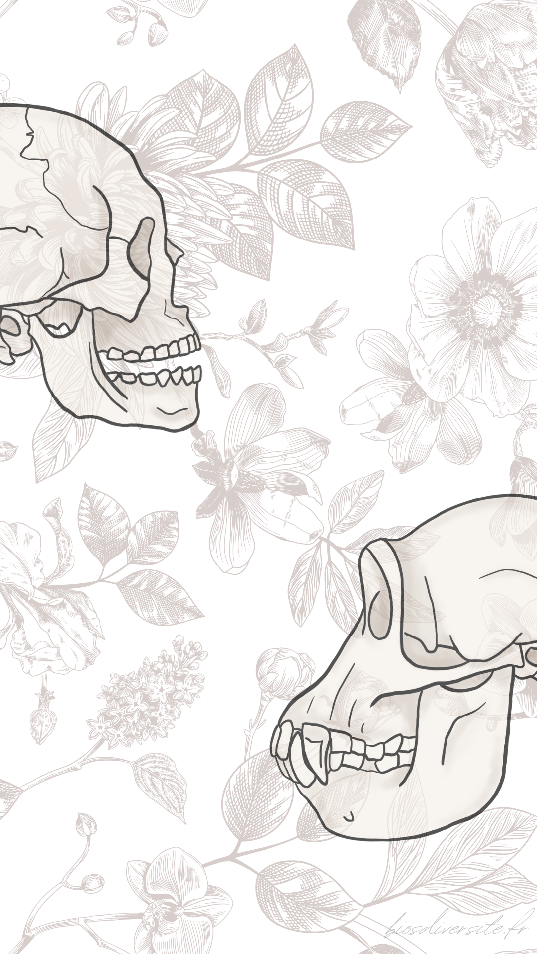 Fond d'écran Bi'Os'Diversité - téléphone