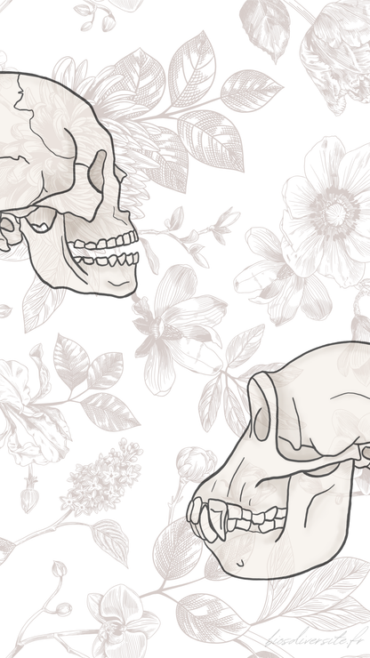 Fond d'écran Bi'Os'Diversité - téléphone