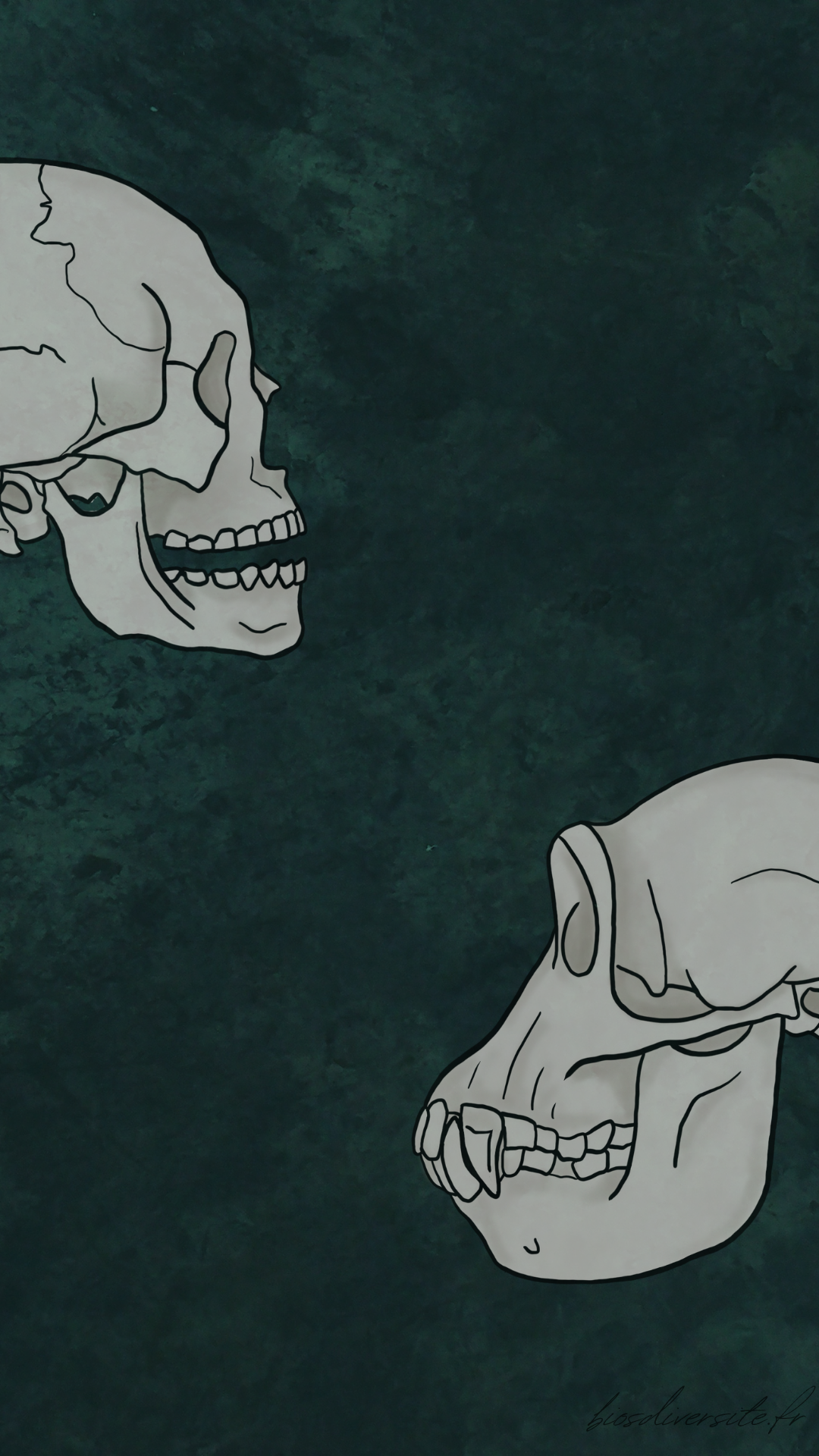 Fond d'écran Bi'Os'Diversité - téléphone