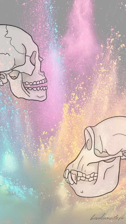 Fond d'écran Bi'Os'Diversité - téléphone