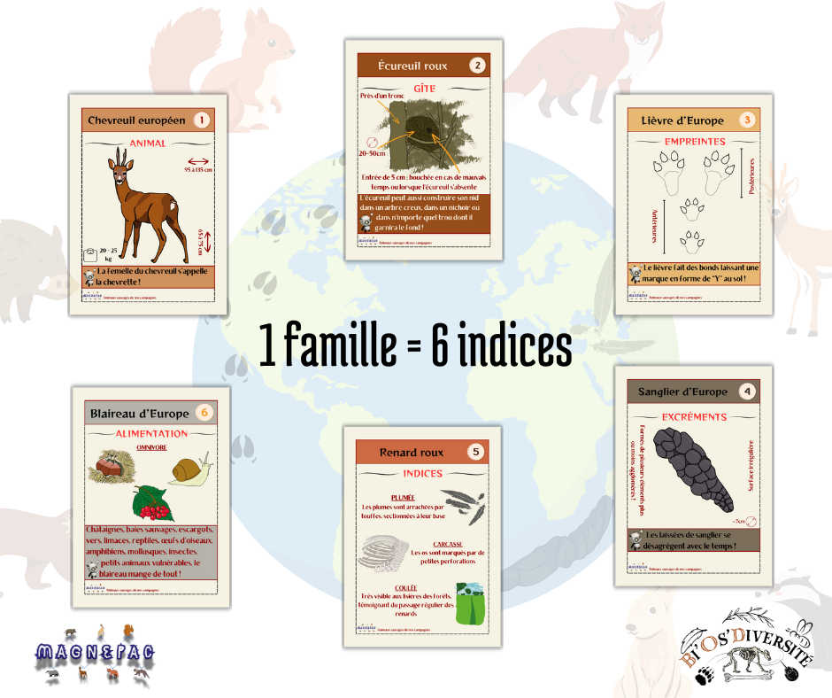 Jeu de cartes Magnepac - animaux sauvages de nos campagnes