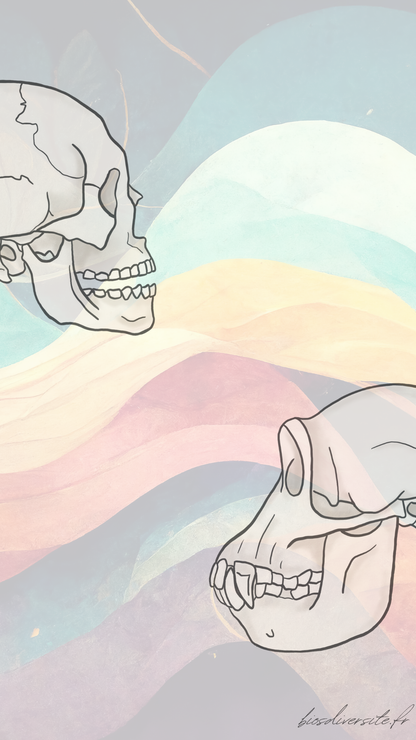 Fond d'écran Bi'Os'Diversité - téléphone