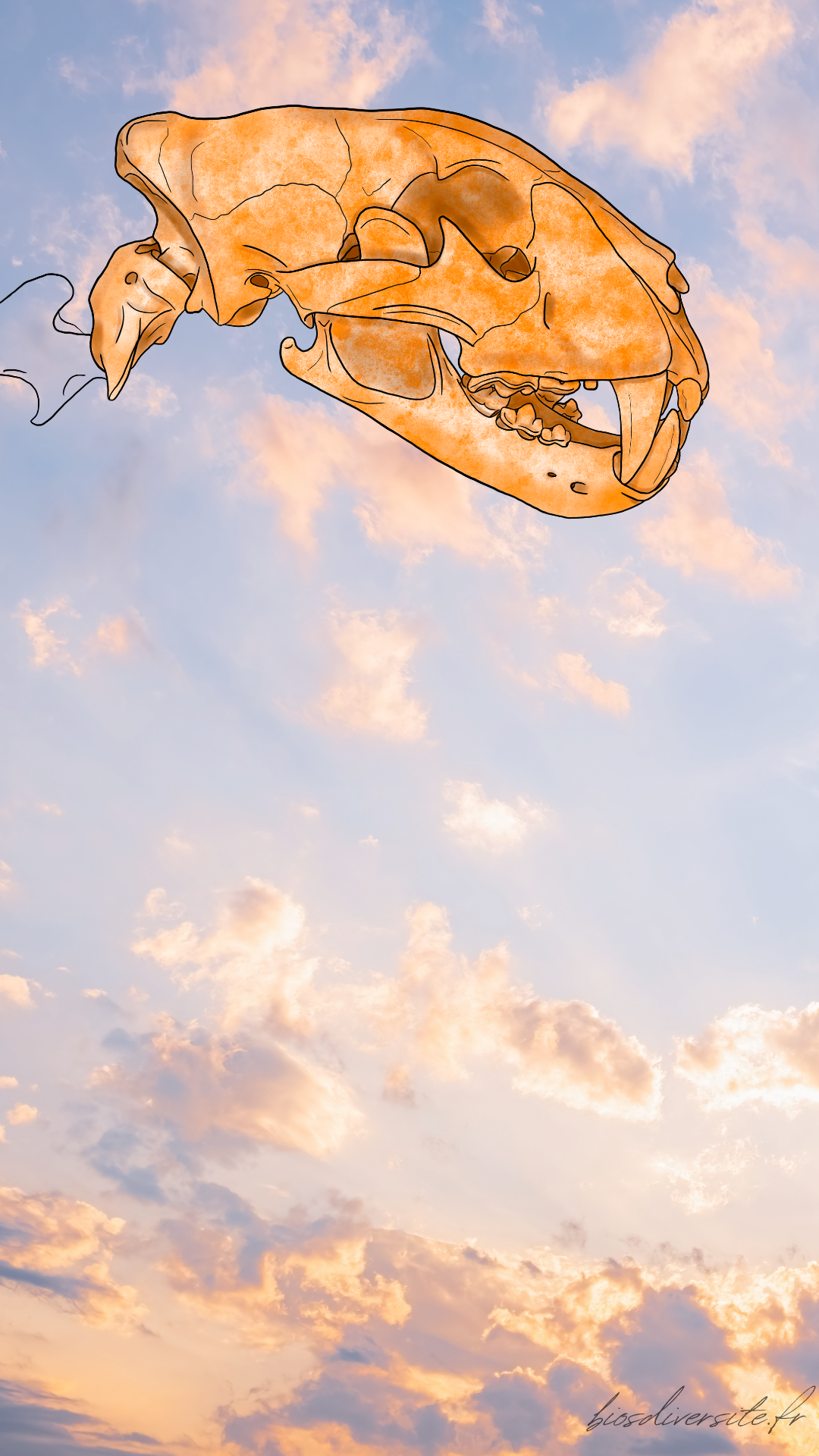 Fond d'écran Bi'Os'Diversité - téléphone