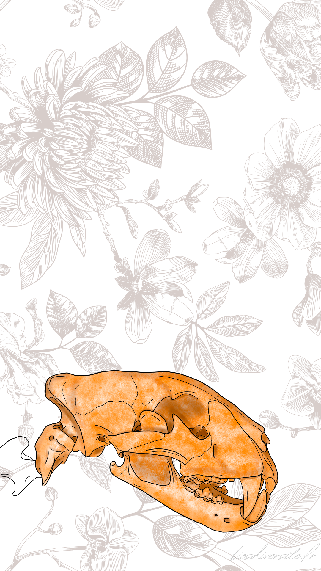 Fond d'écran Bi'Os'Diversité - téléphone