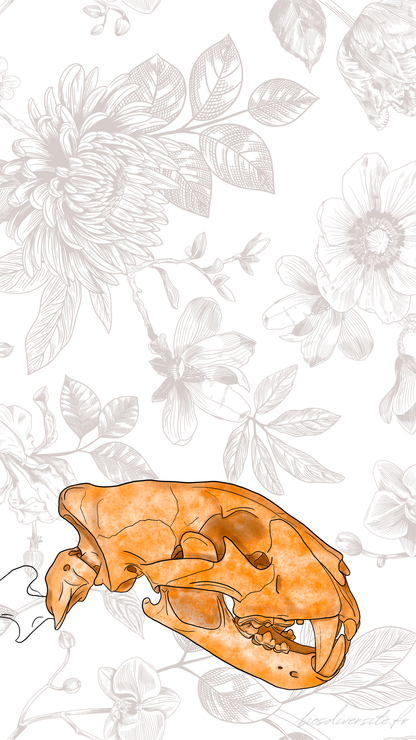 Fond d'écran Bi'Os'Diversité - téléphone