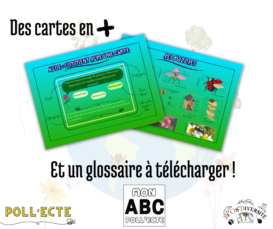 Jeu de cartes Poll’Ecte – les pollinisateurs