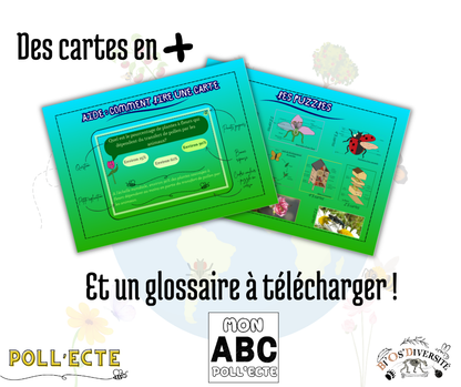 Jeu de cartes Poll’Ecte – les pollinisateurs