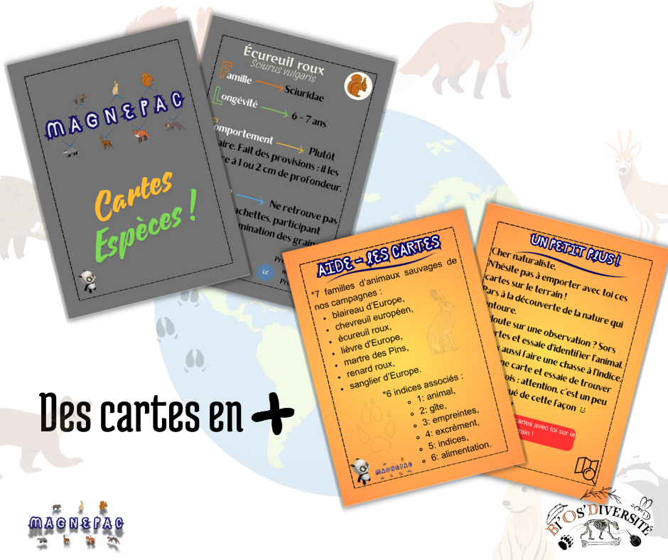 Jeu de cartes Magnepac - animaux sauvages de nos campagnes