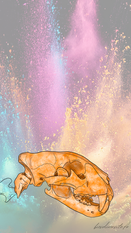 Fond d'écran Bi'Os'Diversité - téléphone