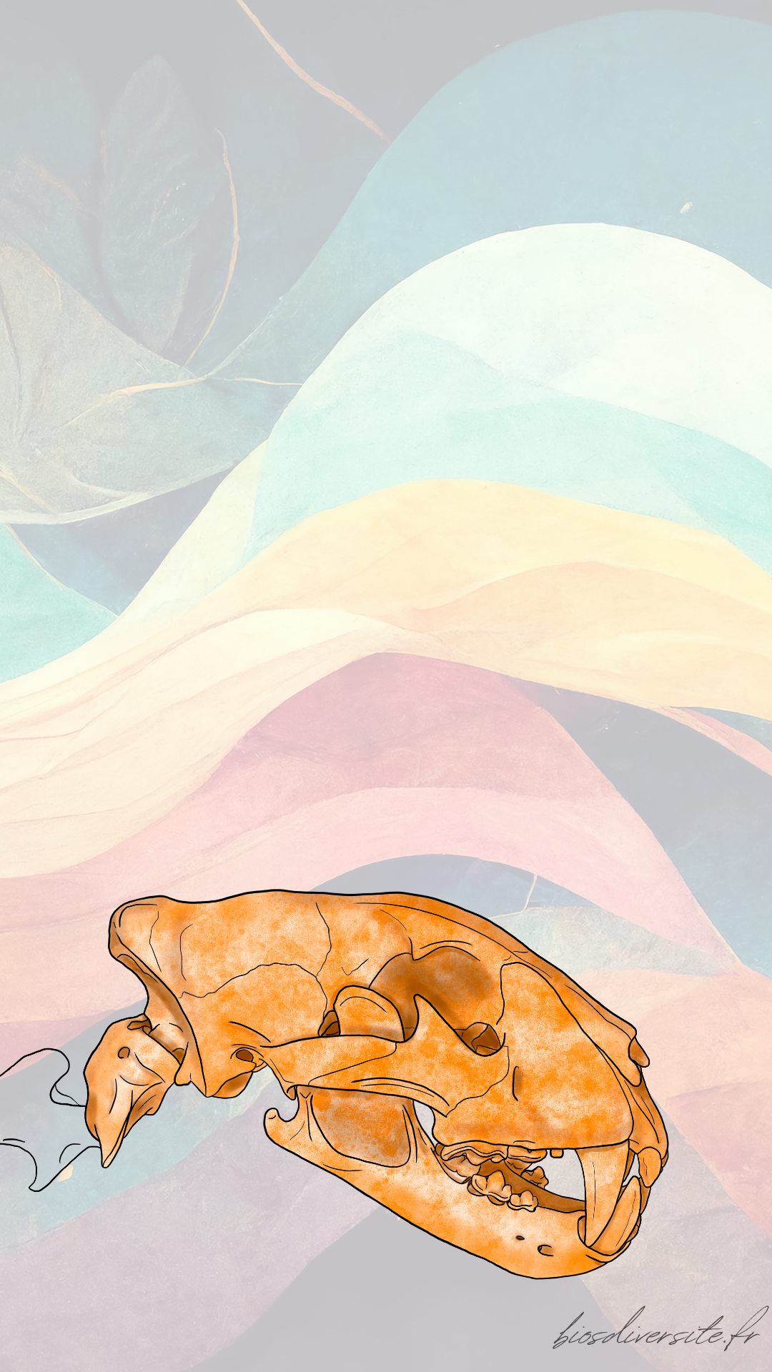 Fond d'écran Bi'Os'Diversité - téléphone