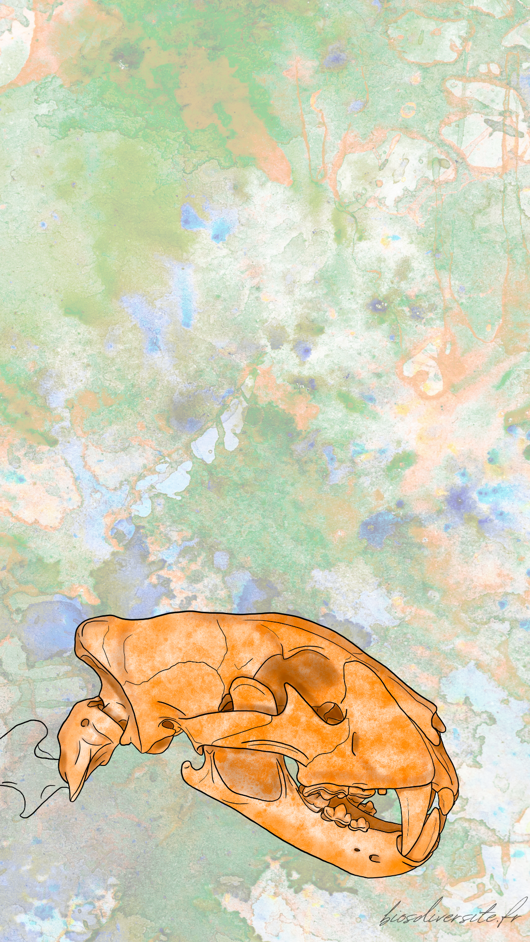 Fond d'écran Bi'Os'Diversité - téléphone